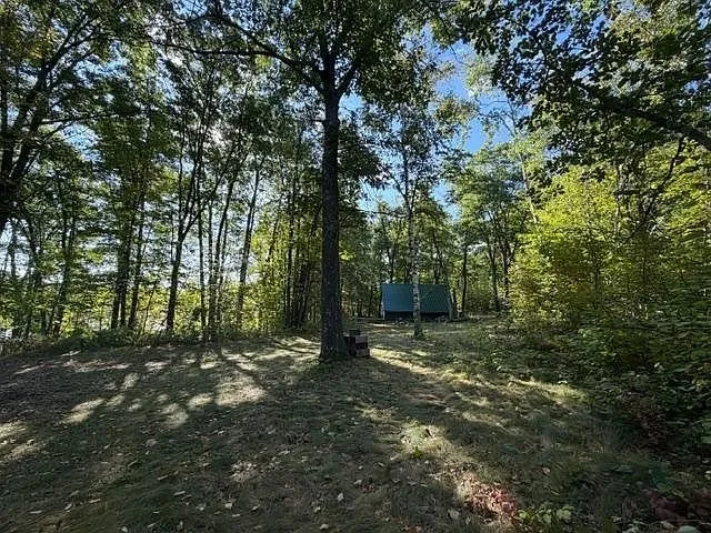The A-frame in the trees with the sun on the roof