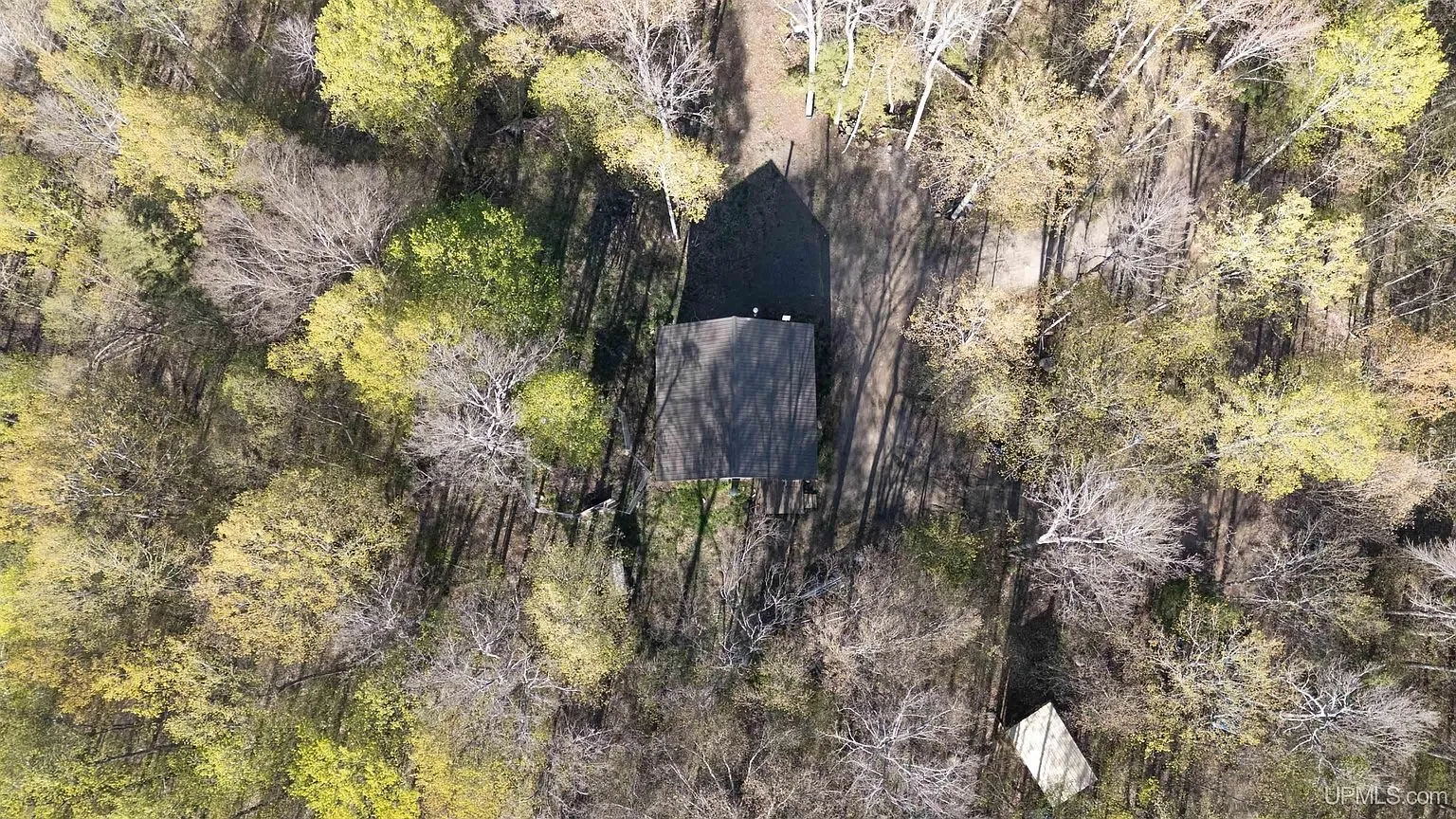 The cabin and the shed from the air with the drive between them