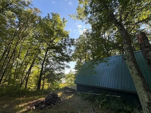 The A-frame from the yard with the tall trees