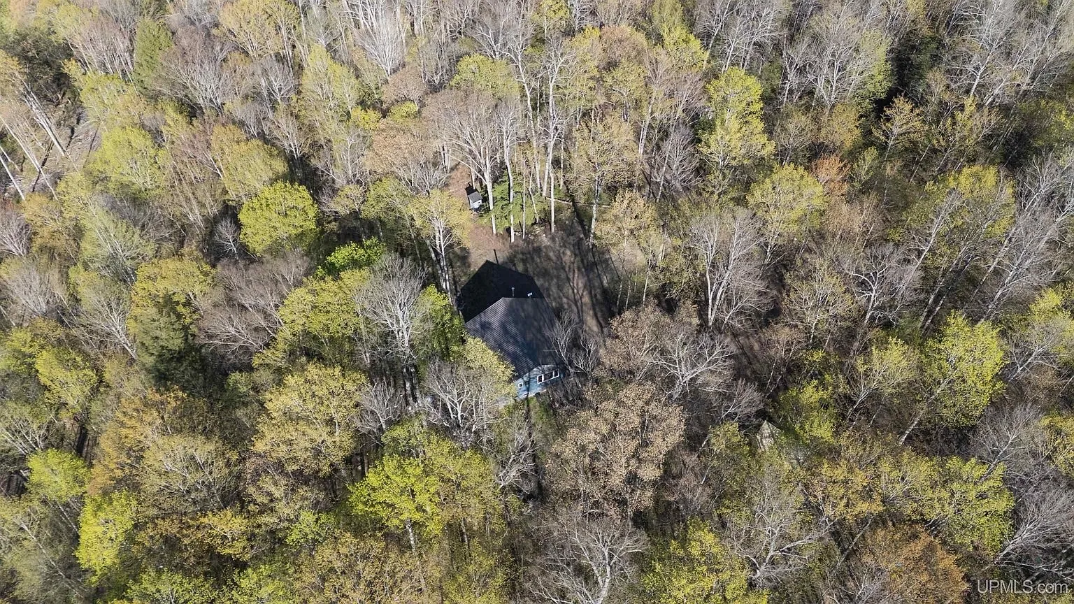 The clearing from high above in the hardwoods