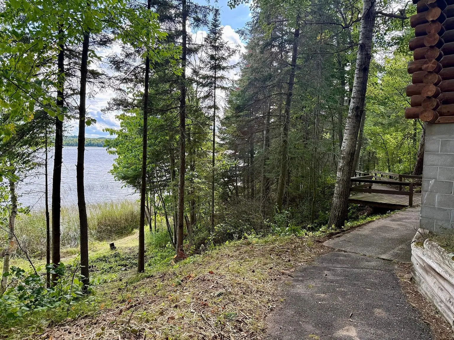 The path along the shore with the lake through the trees