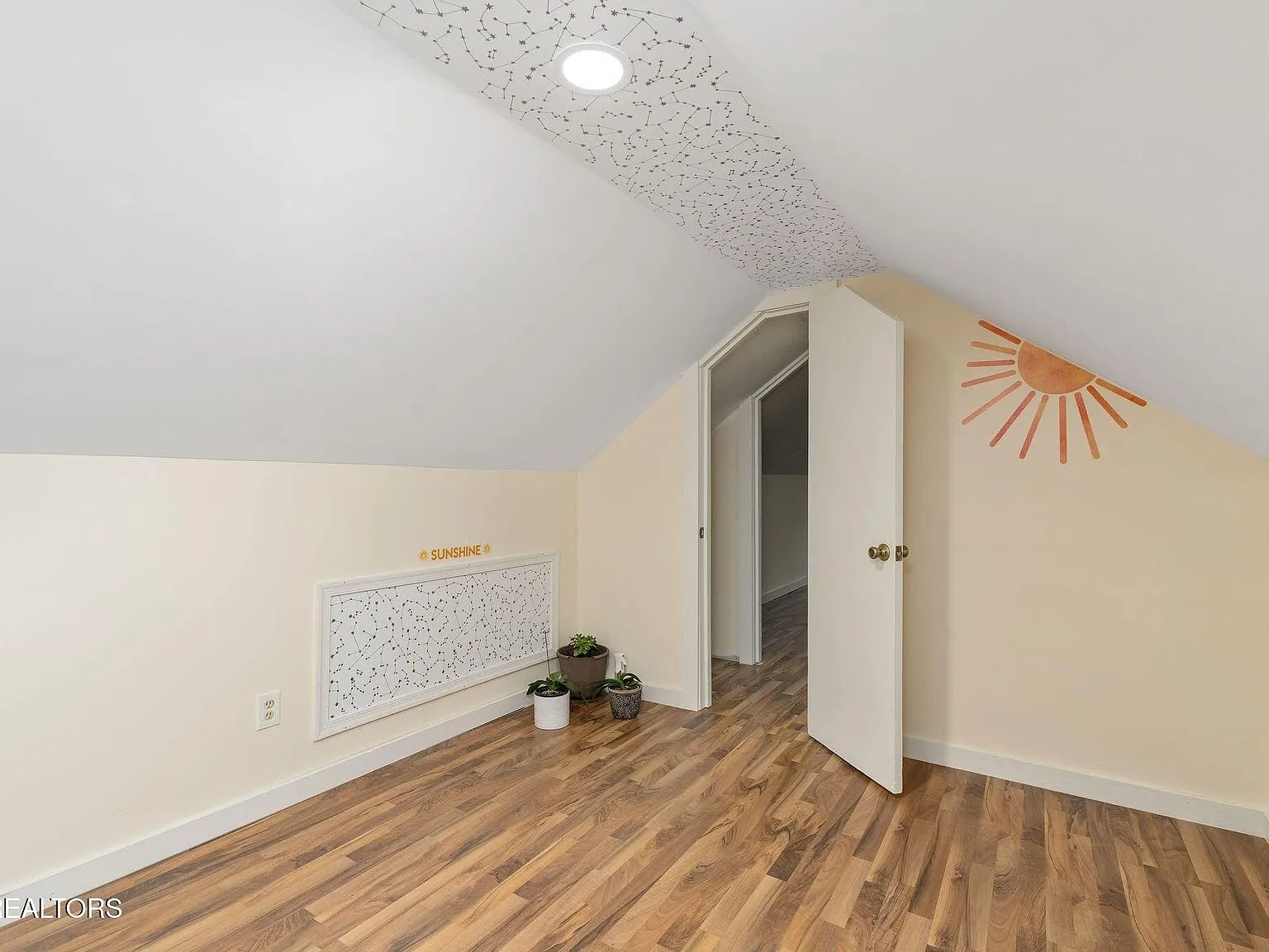 An upstairs doorway and closet space under the sloped roofline