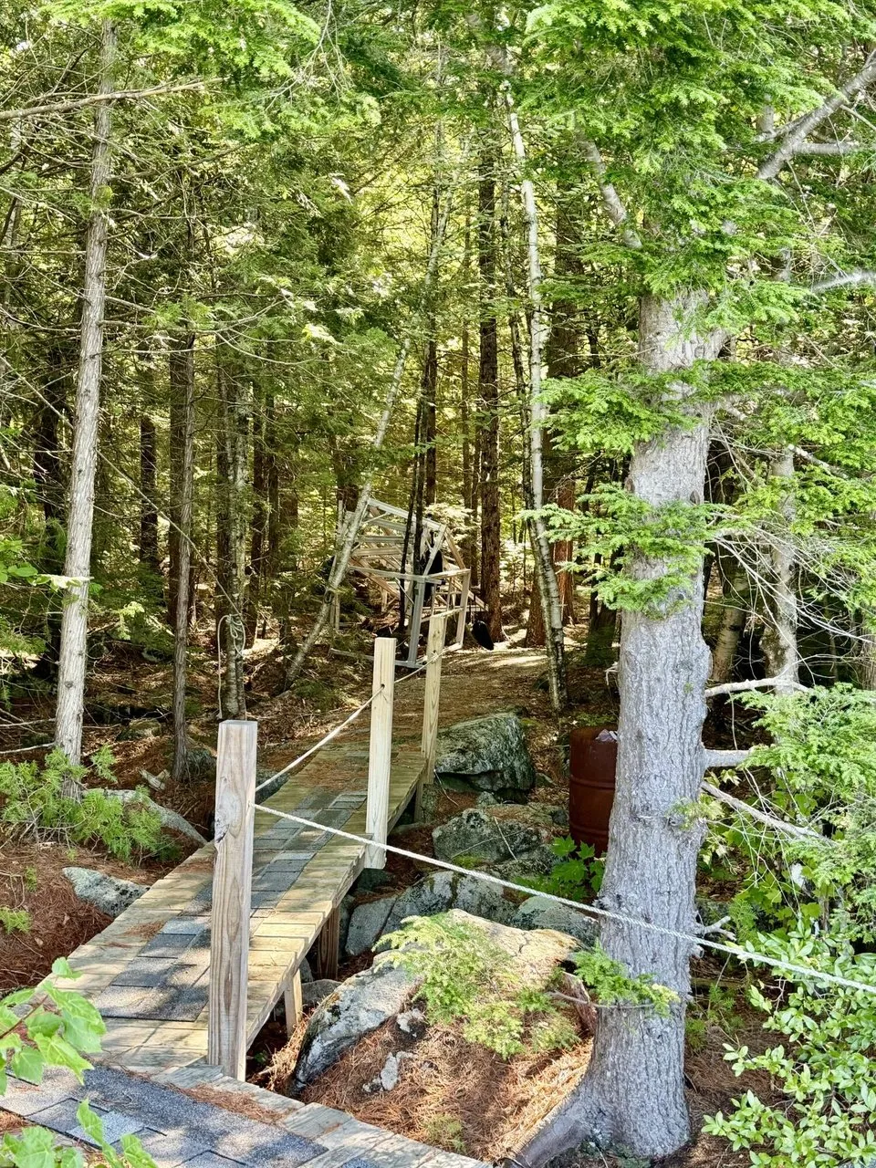 The boardwalk with its rope rail through the woods