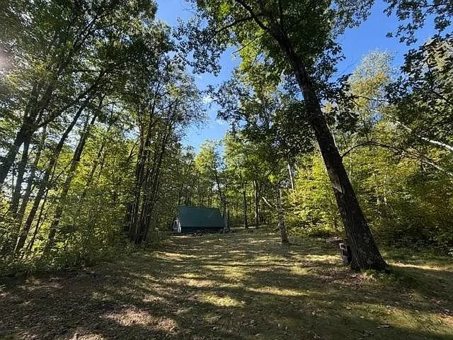 The A-frame from the driveway