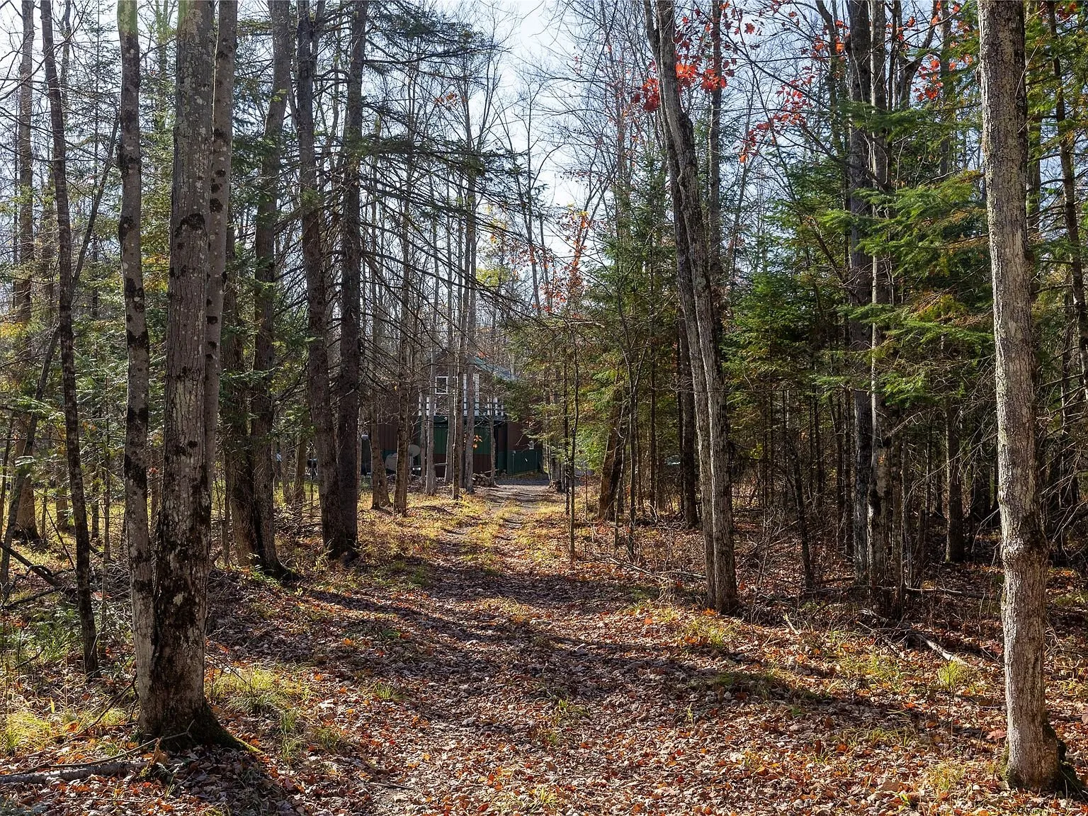 A ground-level trail leading back toward the home through the trees