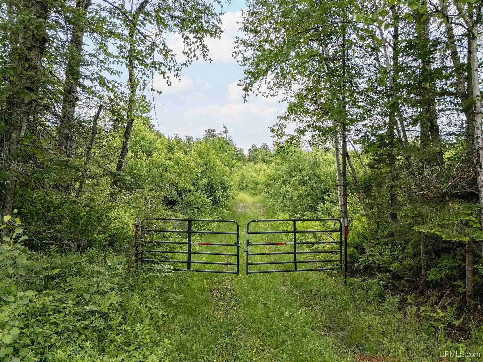 A metal gate across the two-track trail