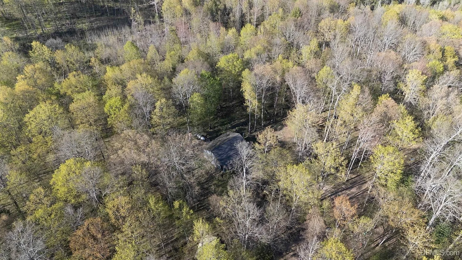 The woods from the air with the cabin roof among the trees