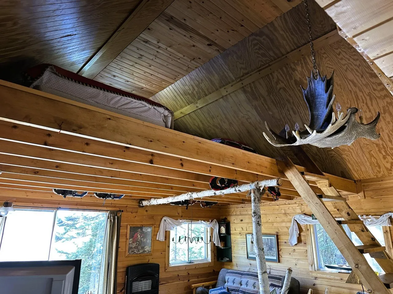 The loft under the peaked ceiling with a mounted moose antler