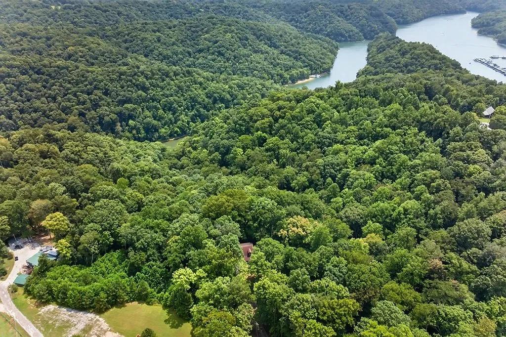 Aerial view of the log home's rooftop surrounded by dense forest