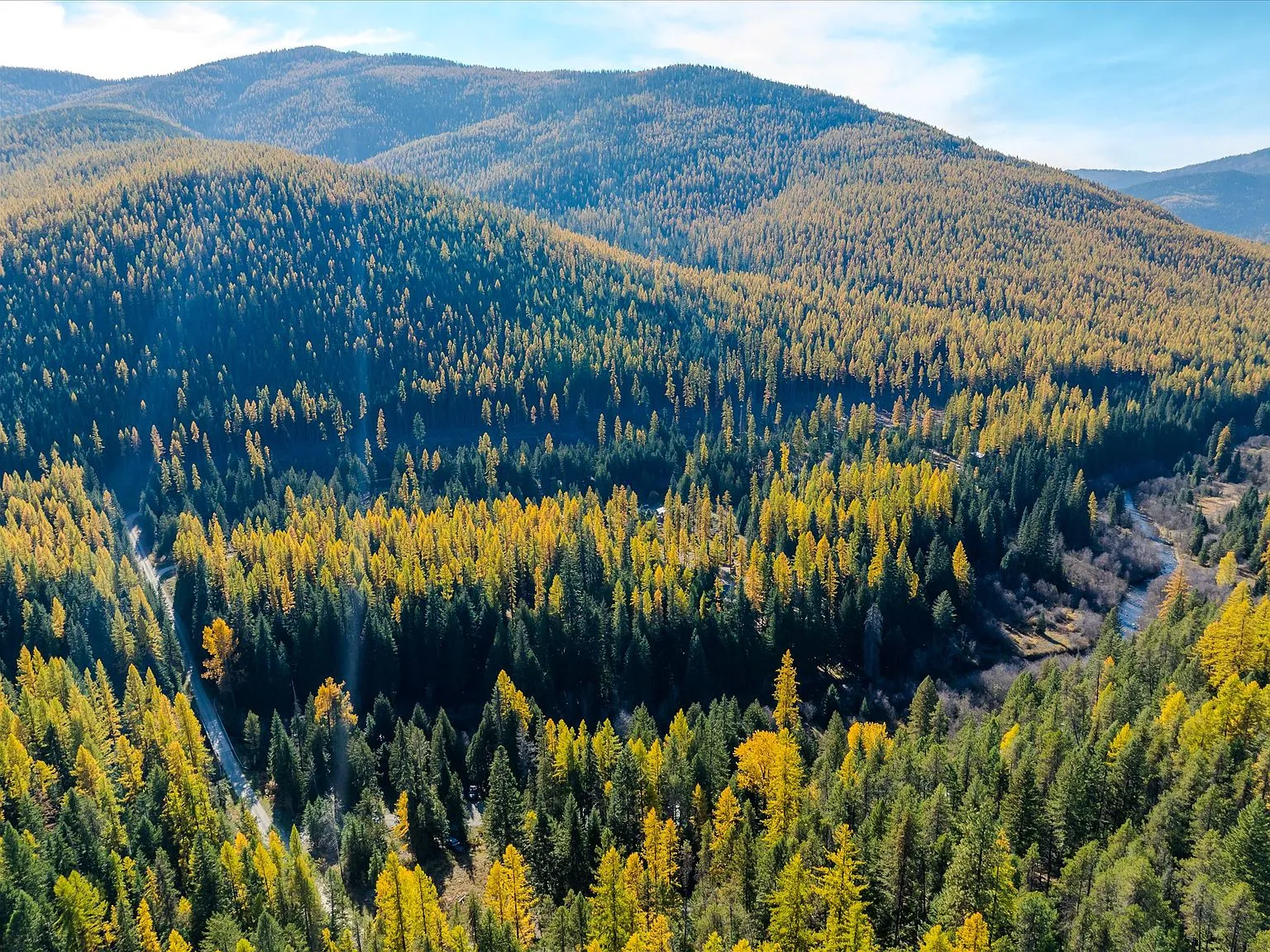 An aerial view of the property's meadow and tree-lined creek corridor