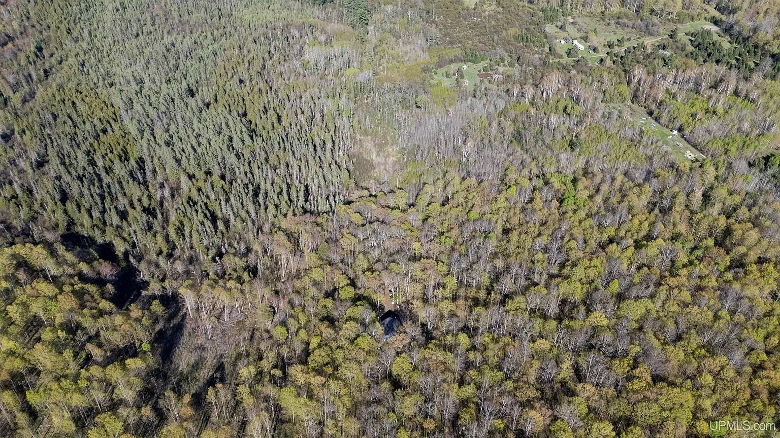 The forest from the air with a wet opening to one side