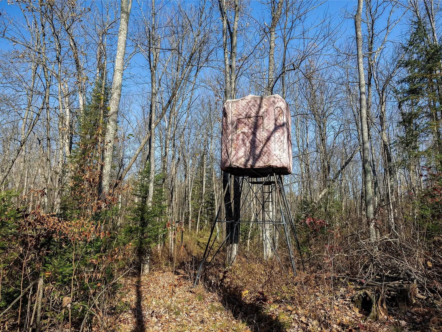 A raised insulated deer blind positioned among the trees