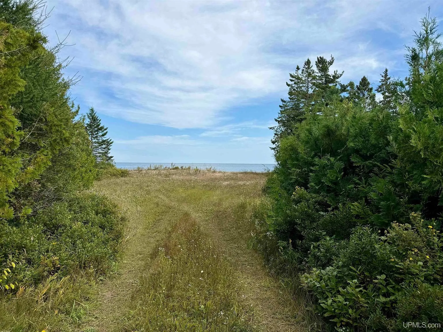 The mowed lane between the cedars to the beach