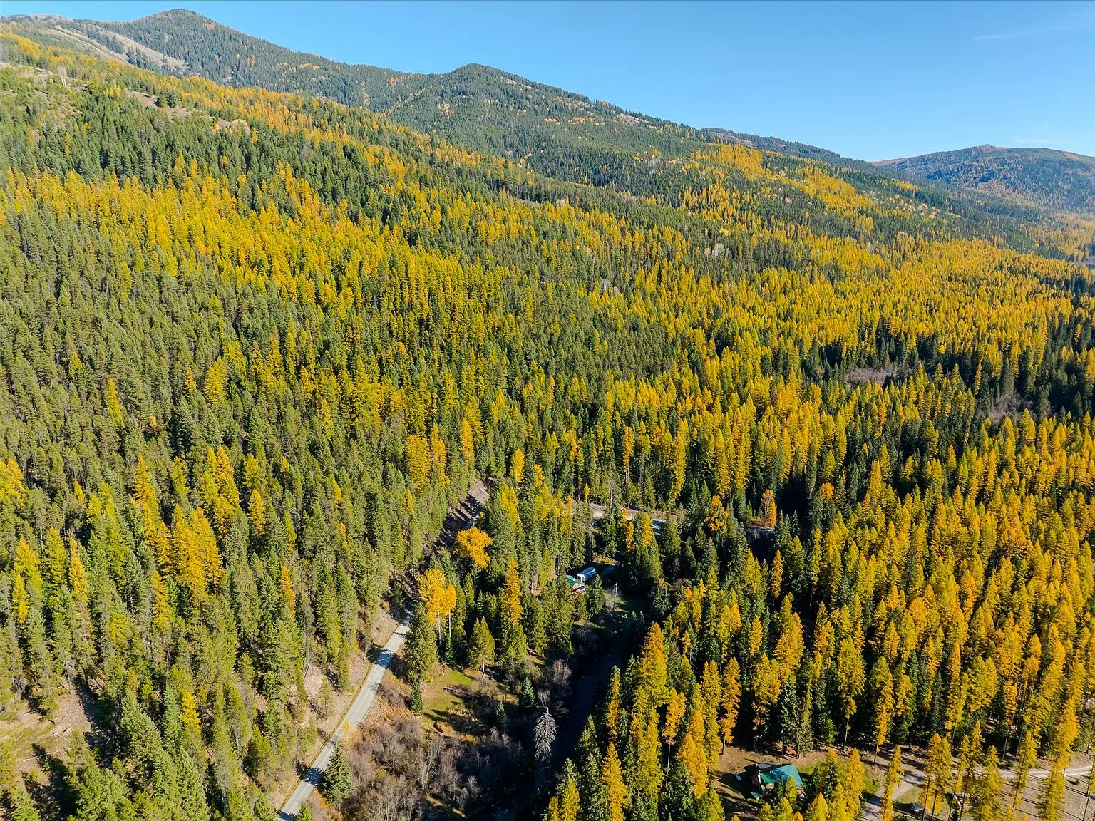 An aerial view of the valley road and creek cutting through the forested hillside
