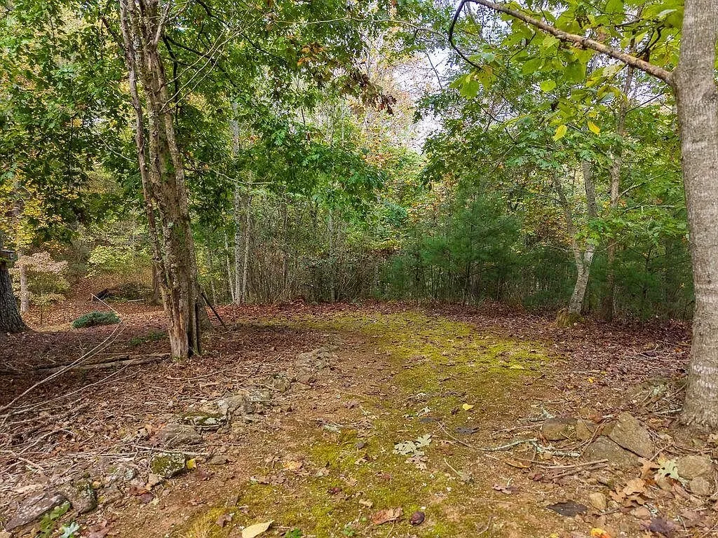 A cleared opening in the woods with a view toward distant hills