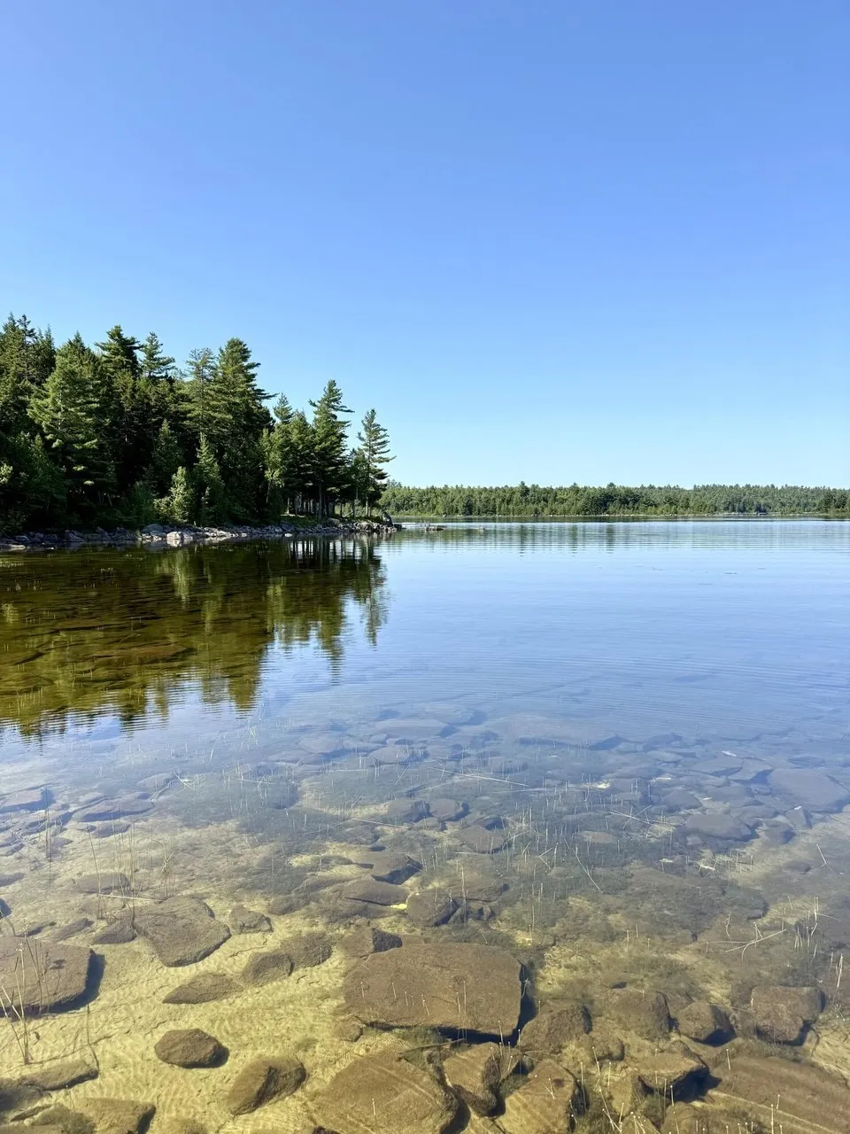 The pond with the stones showing through clear water