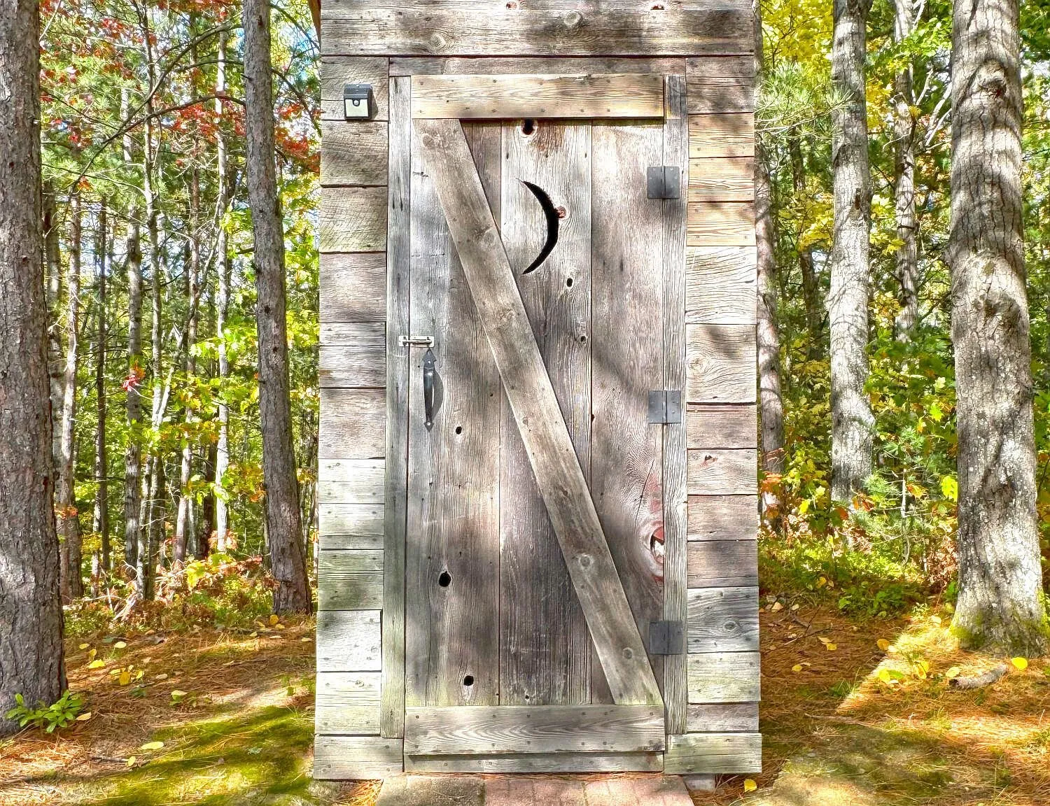 The outhouse standing among the birches
