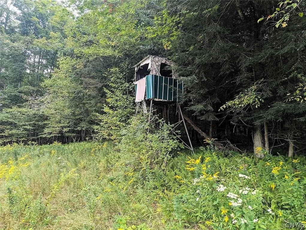 A blind on stilts at the edge of the woods
