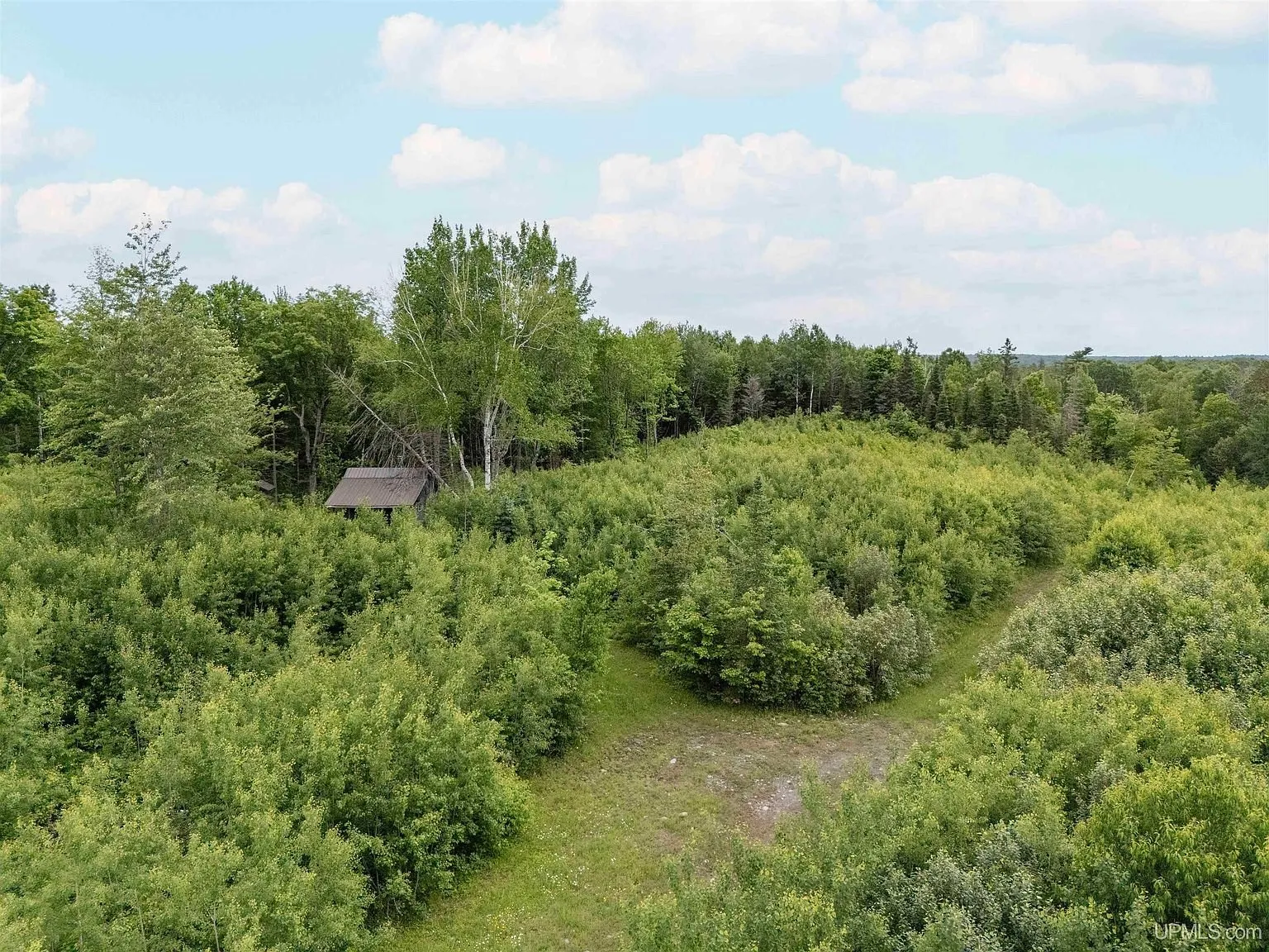 The camp and clearing seen from the air among the trees