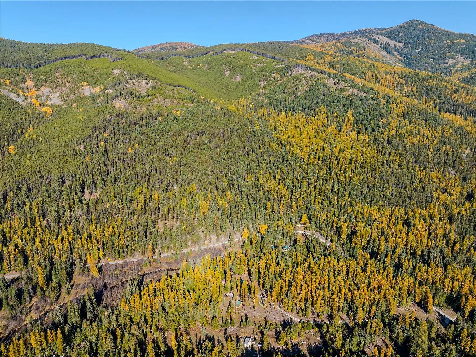 A distant aerial view of the cabin's clearing within the surrounding national forest land