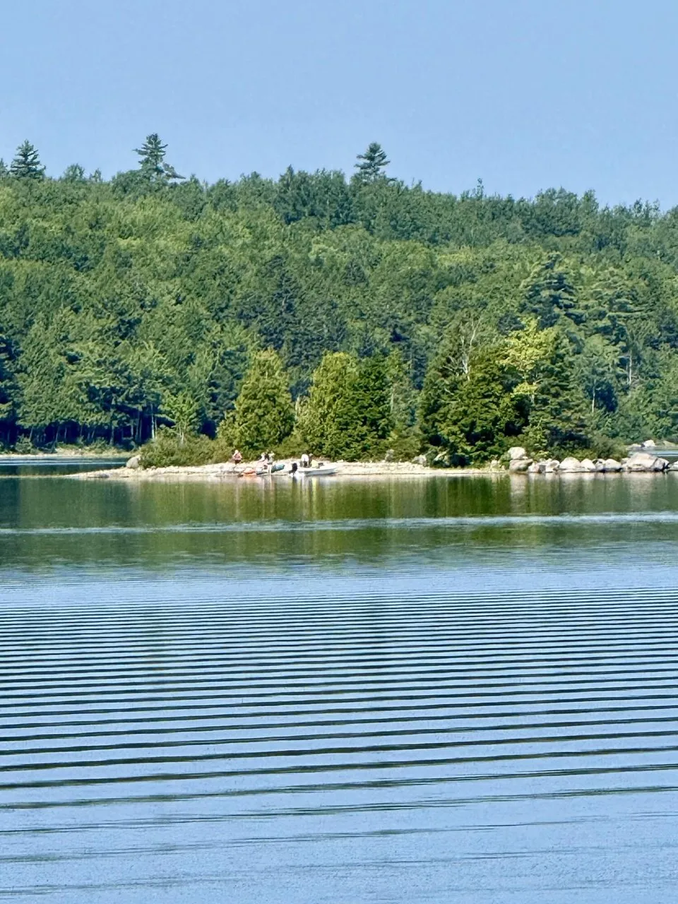 The far shore across the pond