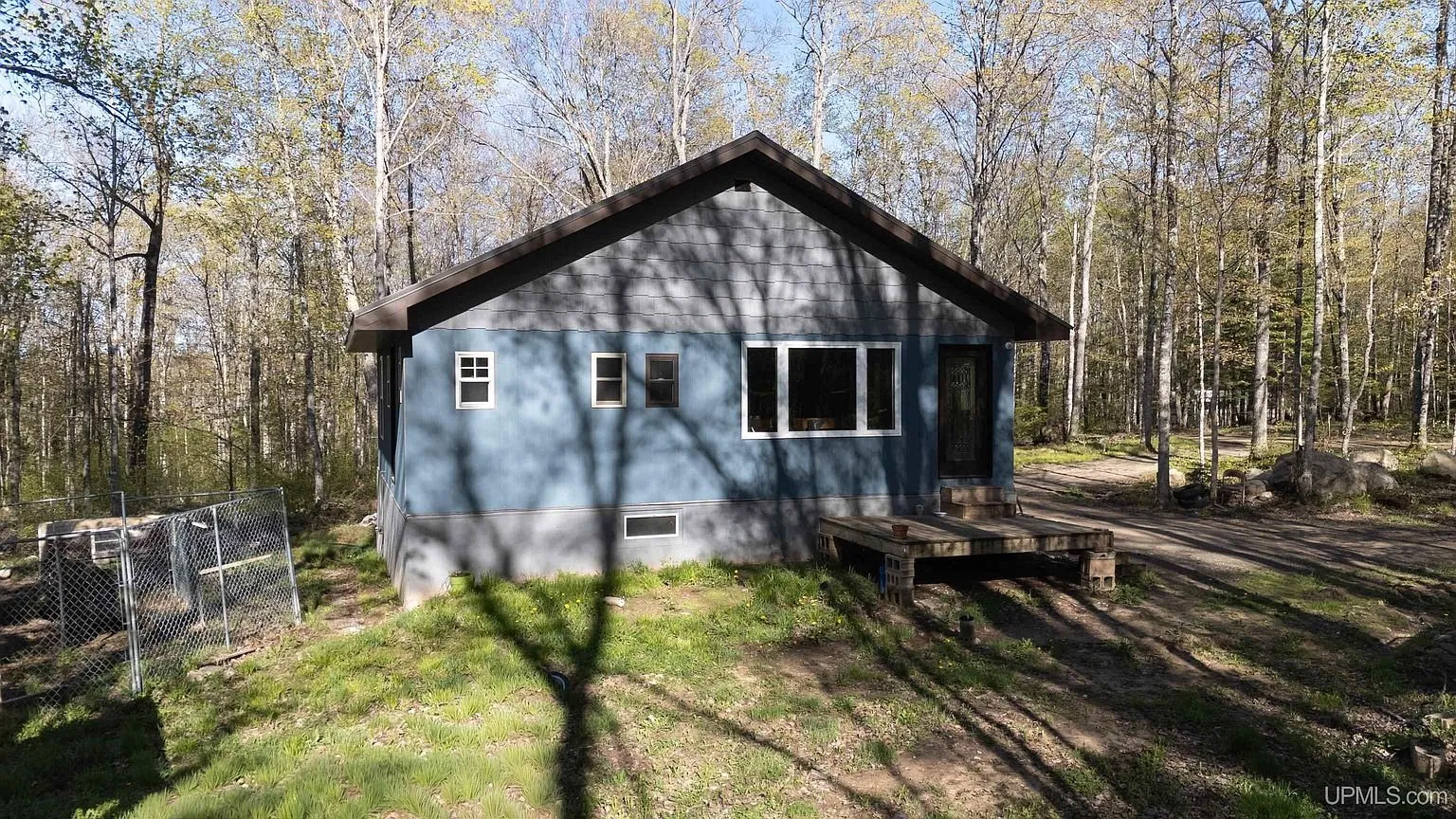 The back of the cabin with the basement windows and the yard