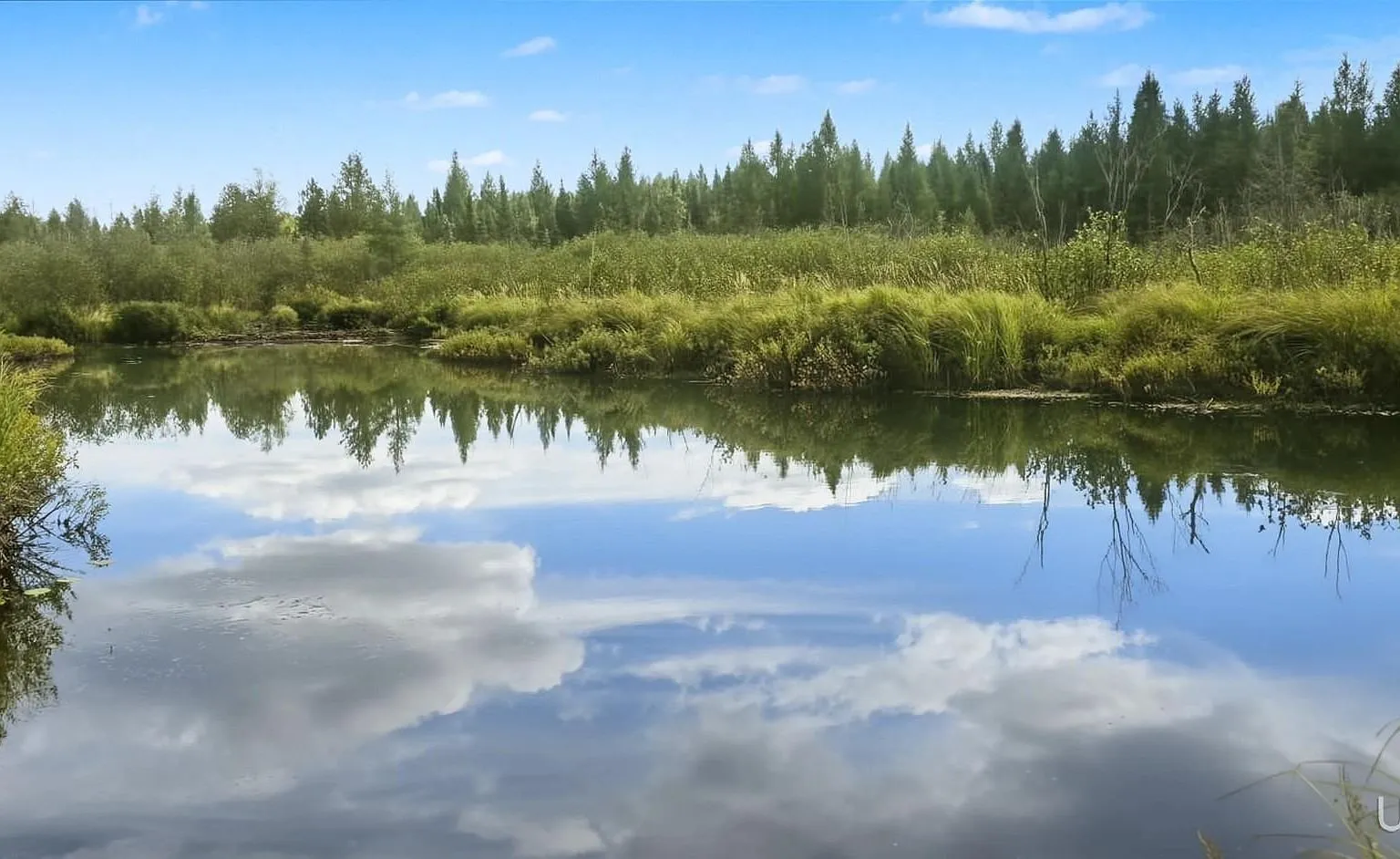 Reservoir Creek widening into still water, reflecting the sky and treeline