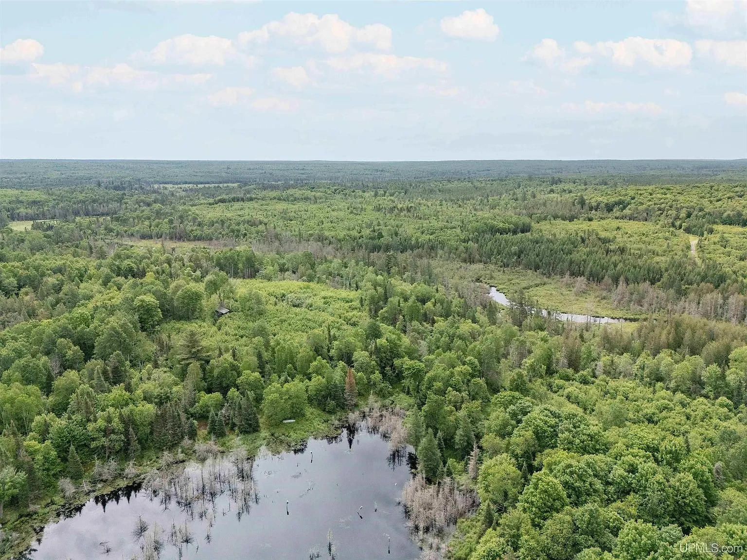 An aerial view of the wooded acreage with a wetland opening