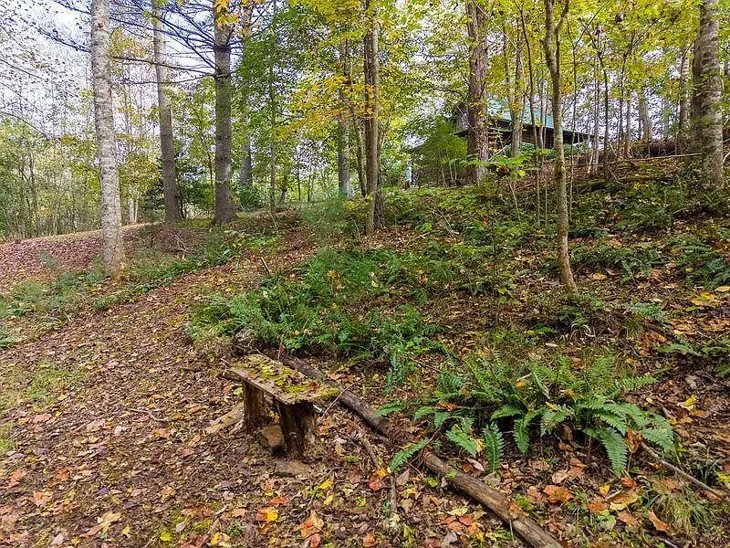 A gravel path through the trees
