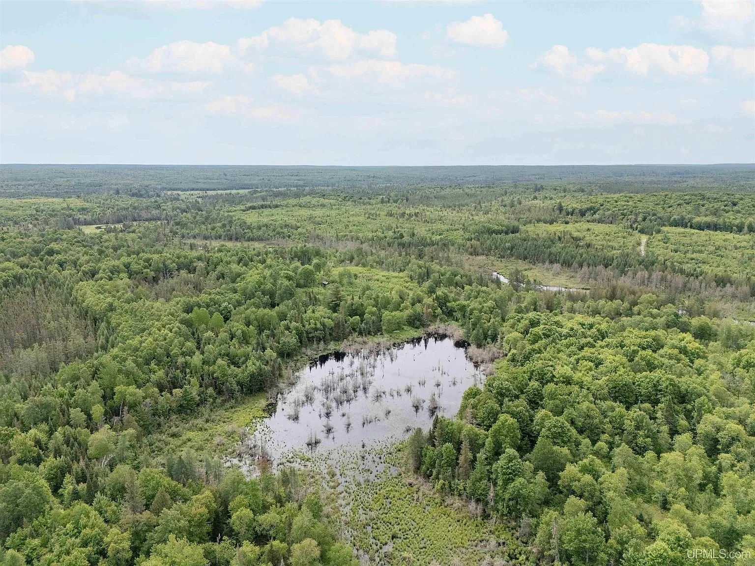 An aerial view of the mixed timber and lowland brush