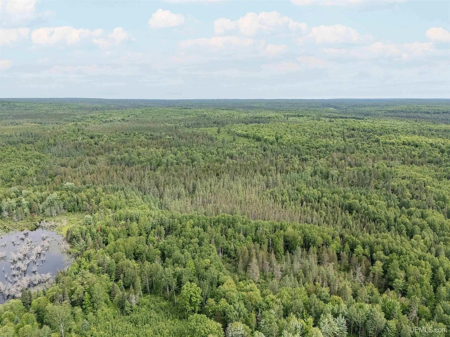 An aerial view following the creek's bends through the property