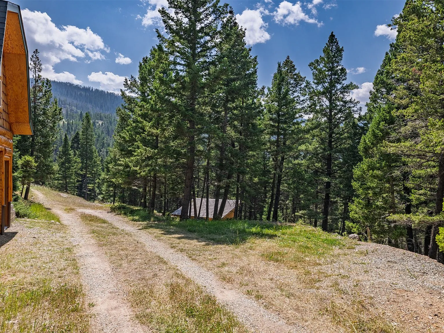 A wooded stretch of the property's acreage, thinned for fire mitigation