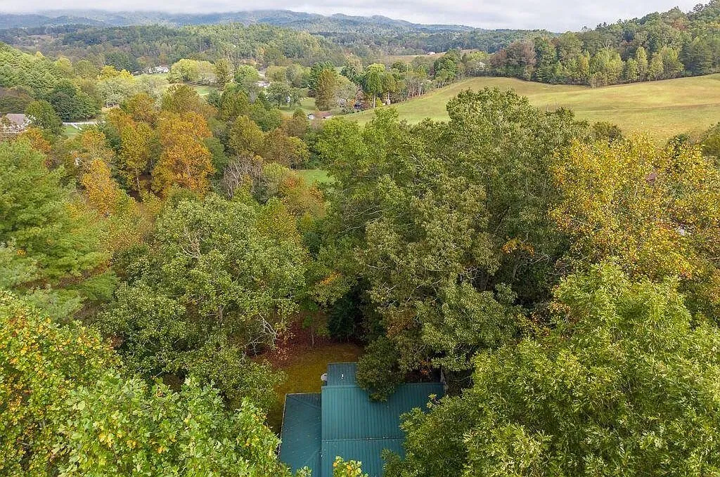 An aerial view of the cabin's metal roof set among the trees, with pasture and hills beyond