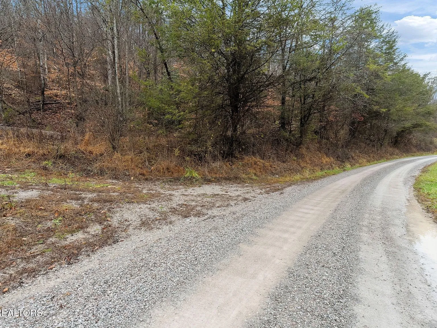 A wooded section of the driveway cutting through bare trees