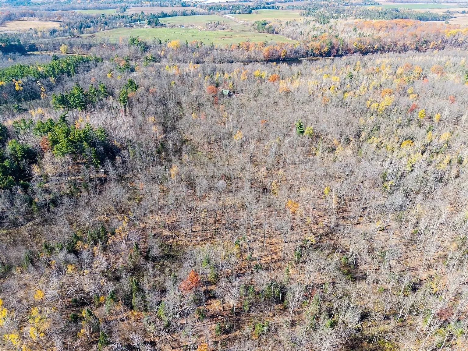 A distant aerial view of the wooded parcel with pasture and water visible beyond it