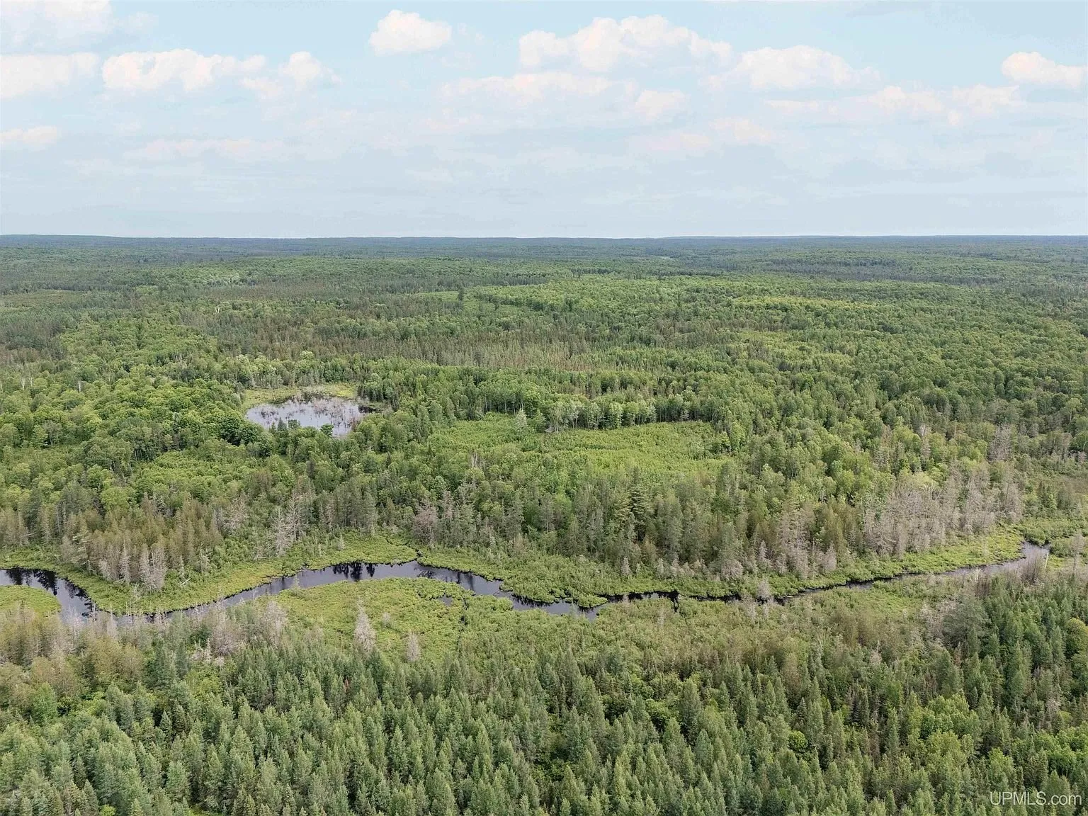 An aerial view of a wetland pocket within the wooded acreage