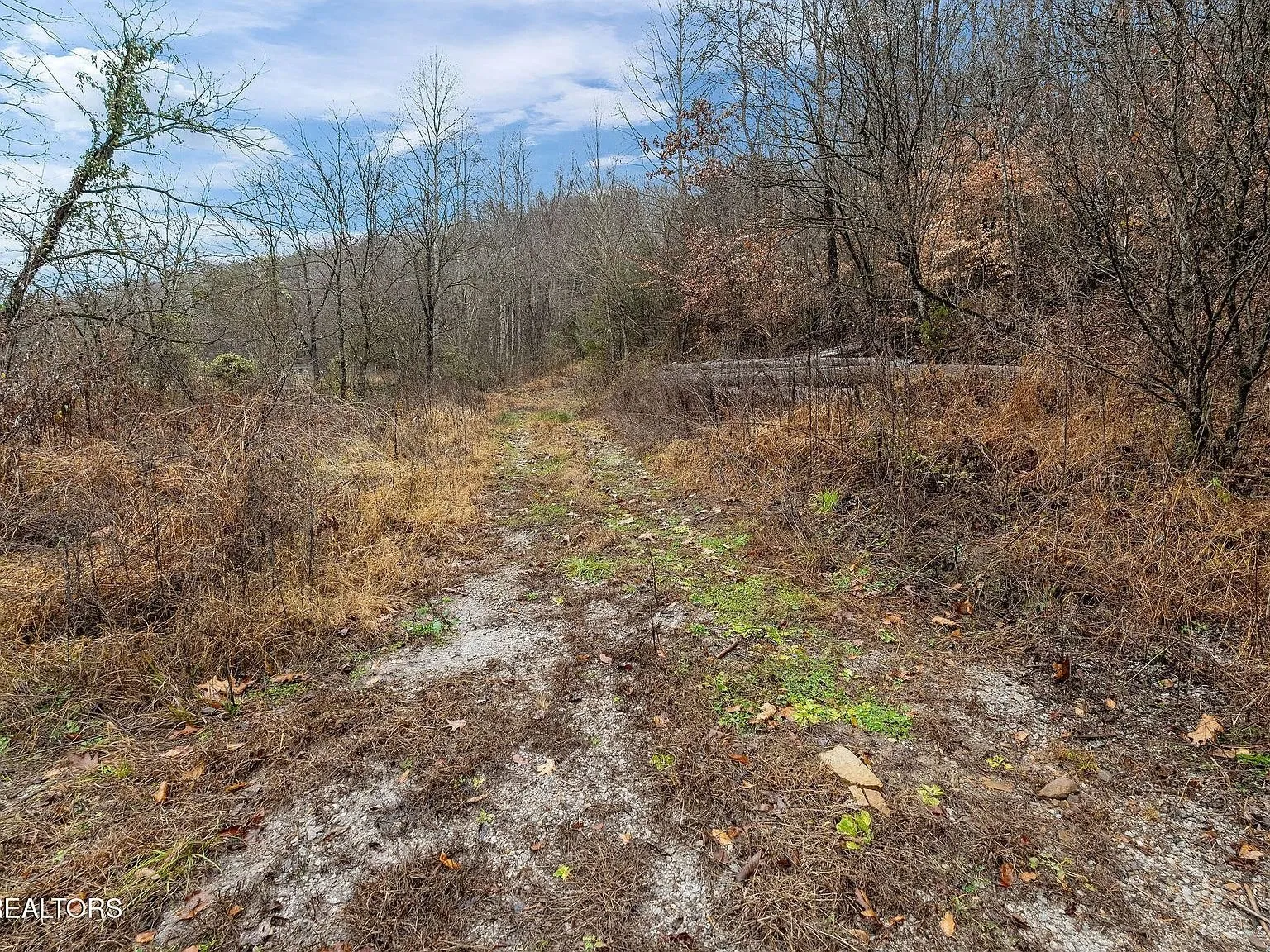 An overgrown dirt path through brush and dry grass on the property