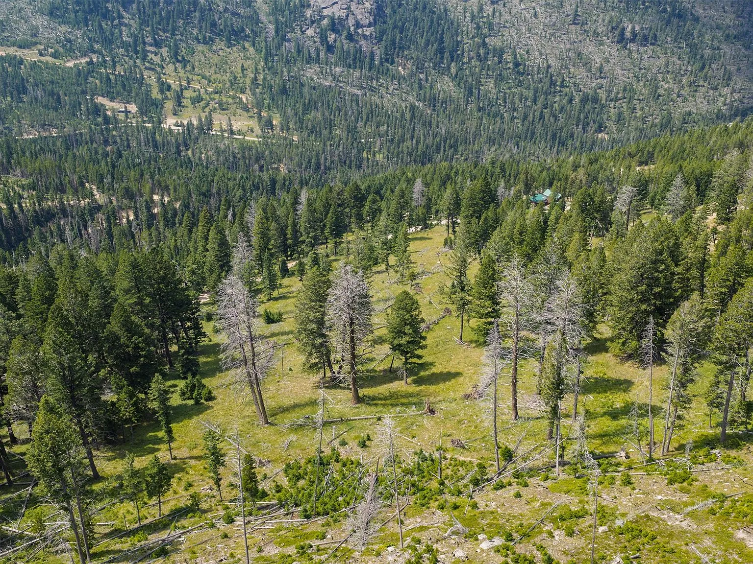 An aerial view of the cabin's green metal roof and driveway from above