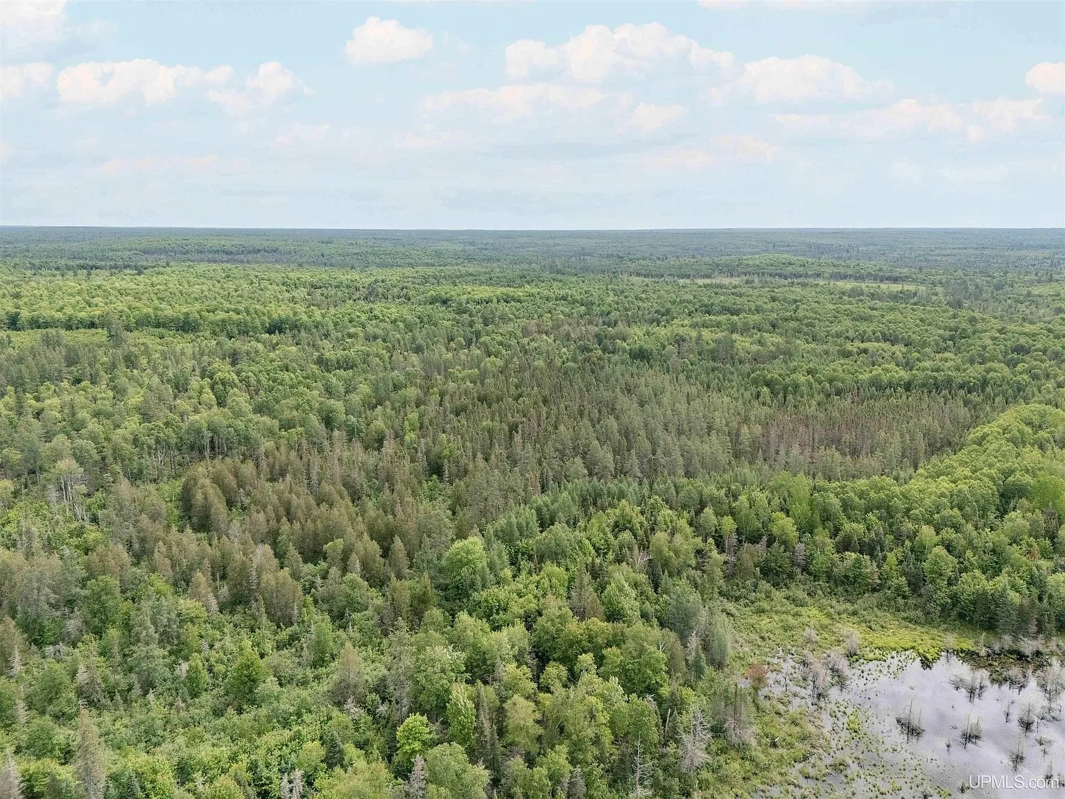 An aerial view of brush and lowland growth bordering the timber