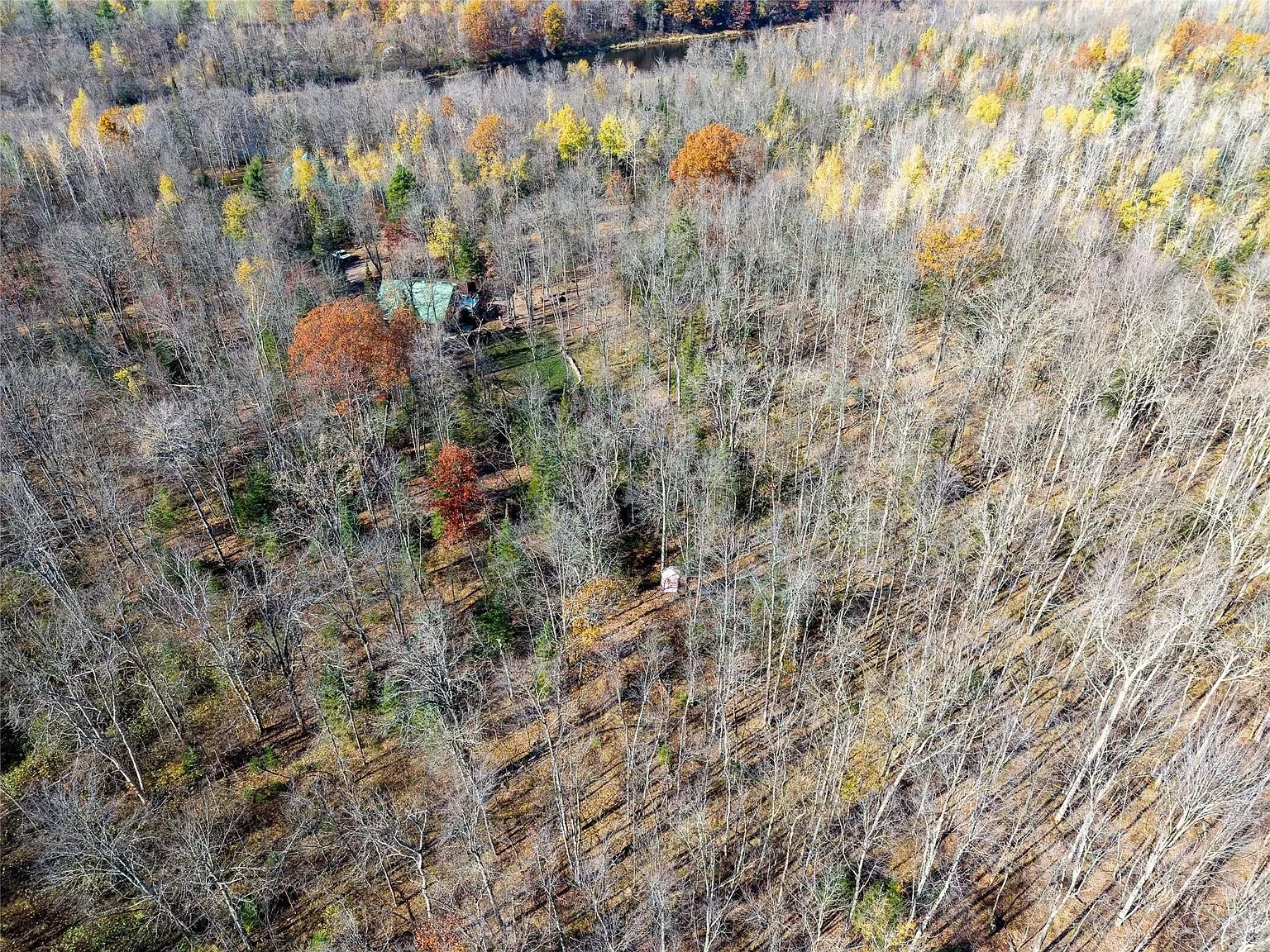 Aerial view of the home's clearing seen from a distance