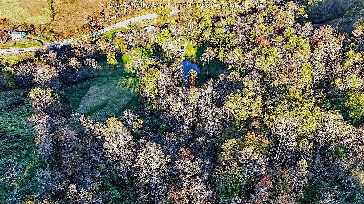 An aerial view of the house framed by mature trees along the road