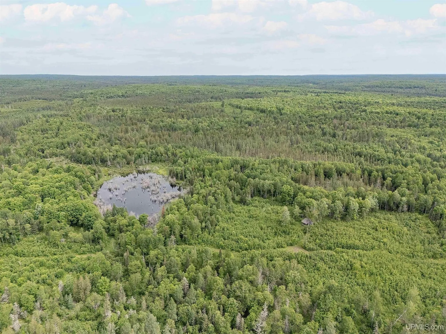 An aerial view of the creek and marsh grass along the property's edge