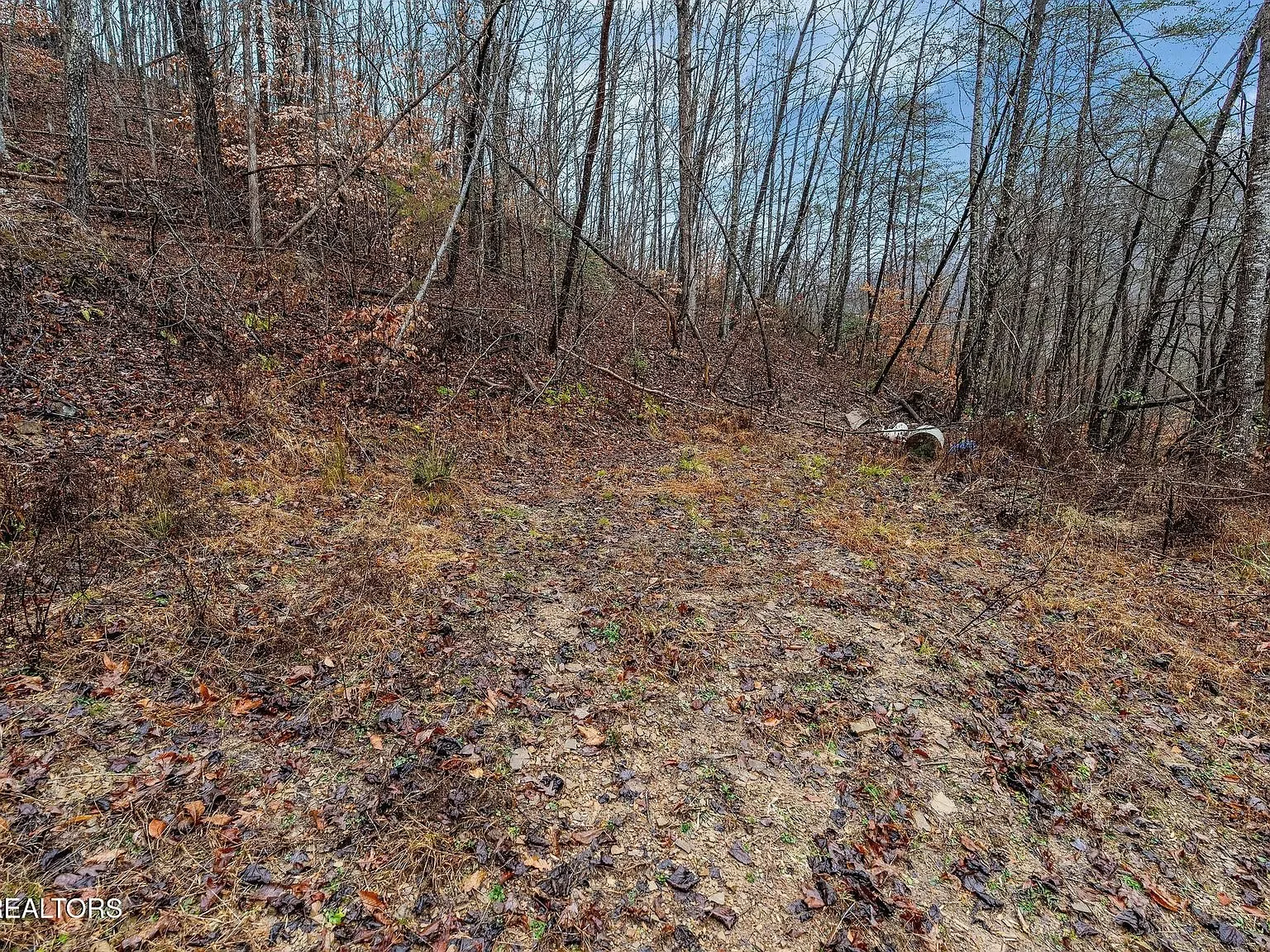 A brushy clearing with scattered debris on the property