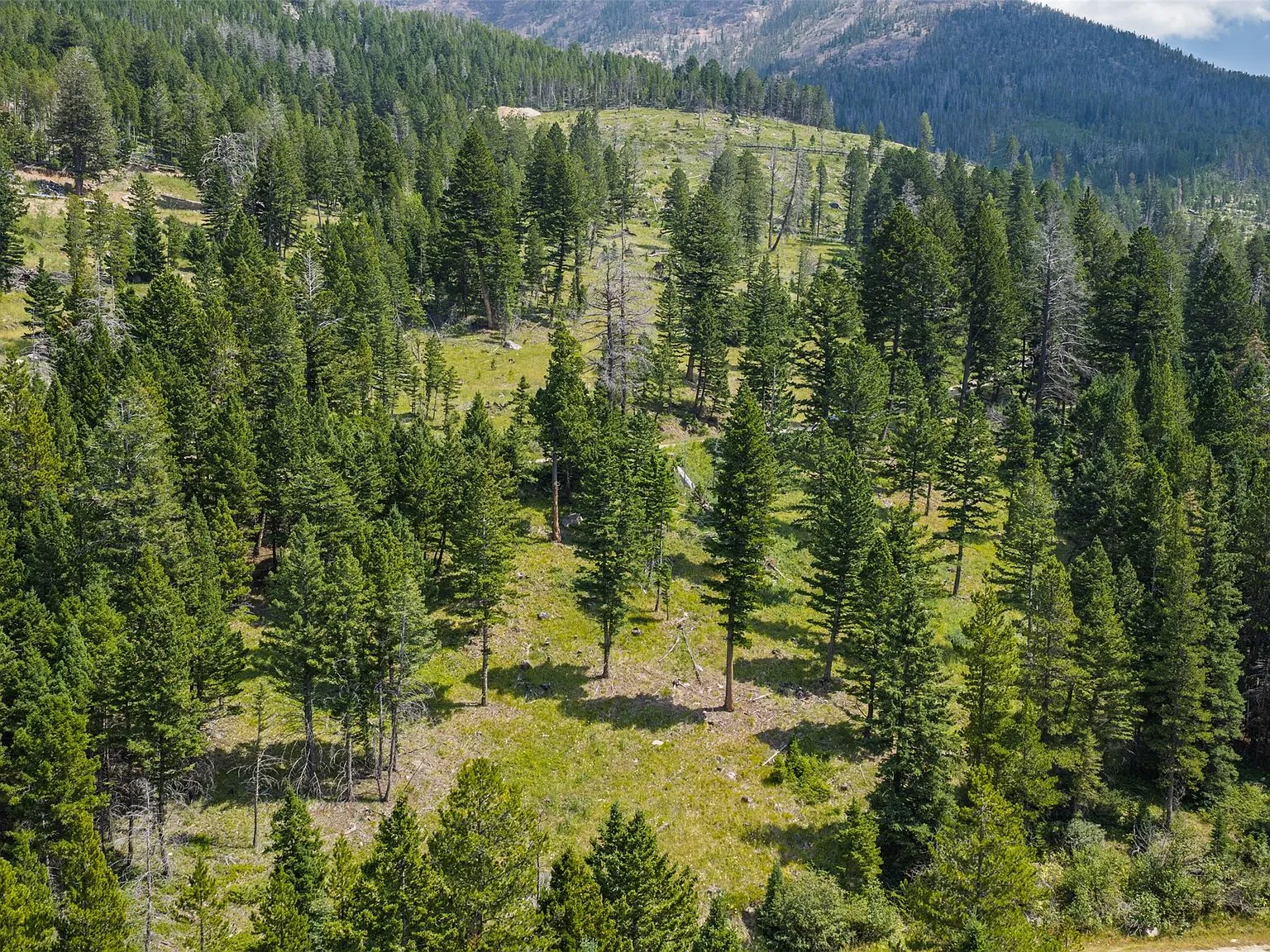 An aerial view of thinned forest and open hillside near the property