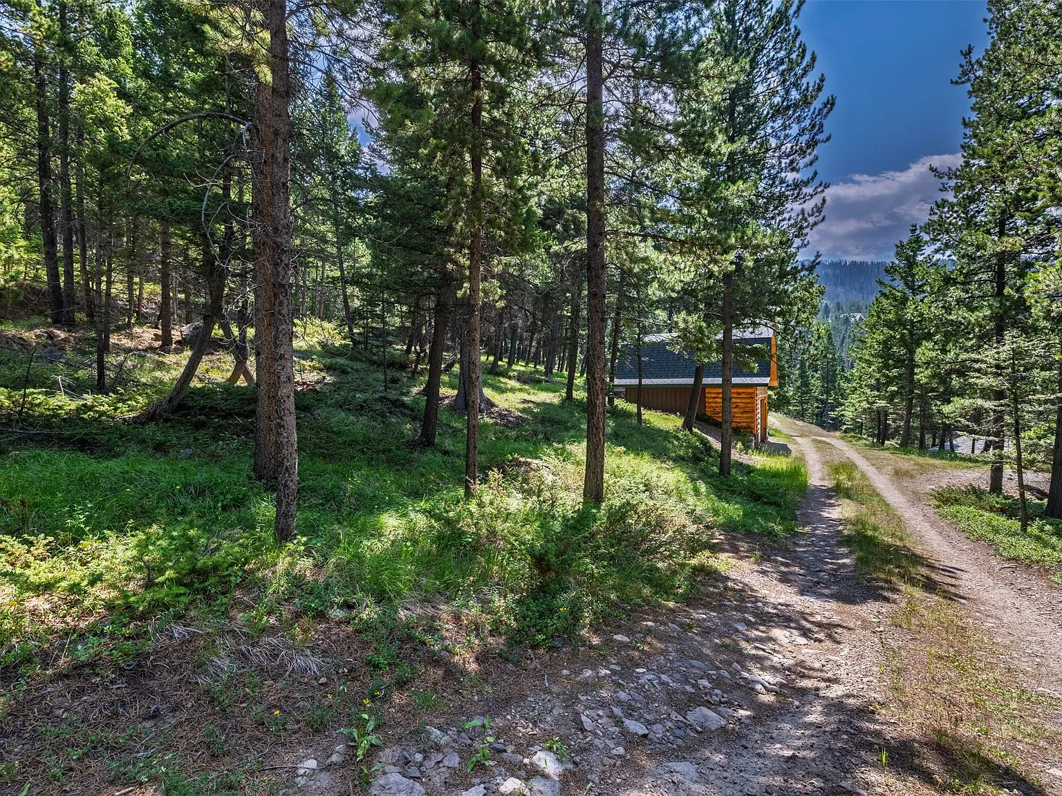 An aerial view of the bonus cabin and driveway from above the tree line