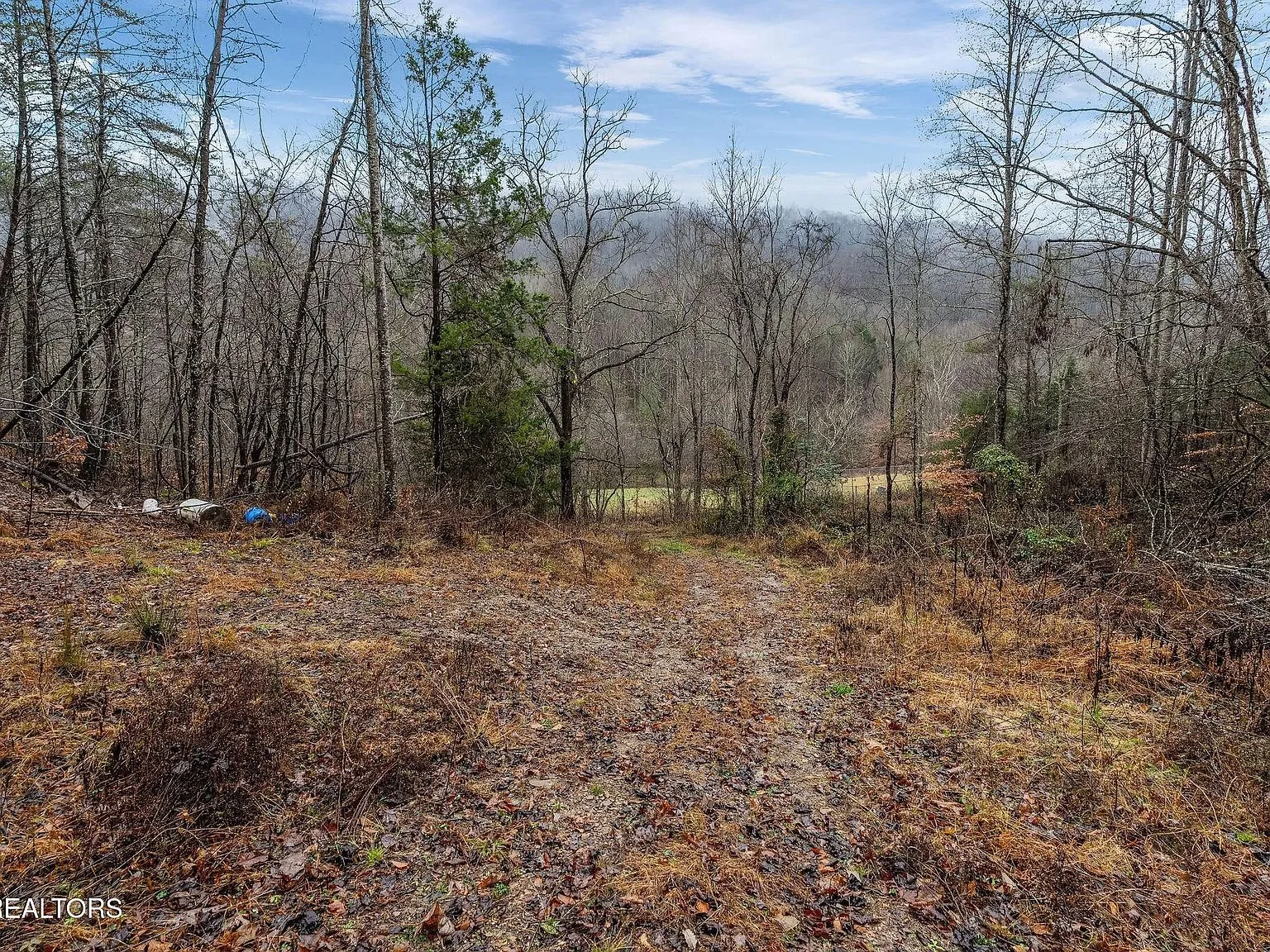 A wooded clearing with pine trees near the property's edge