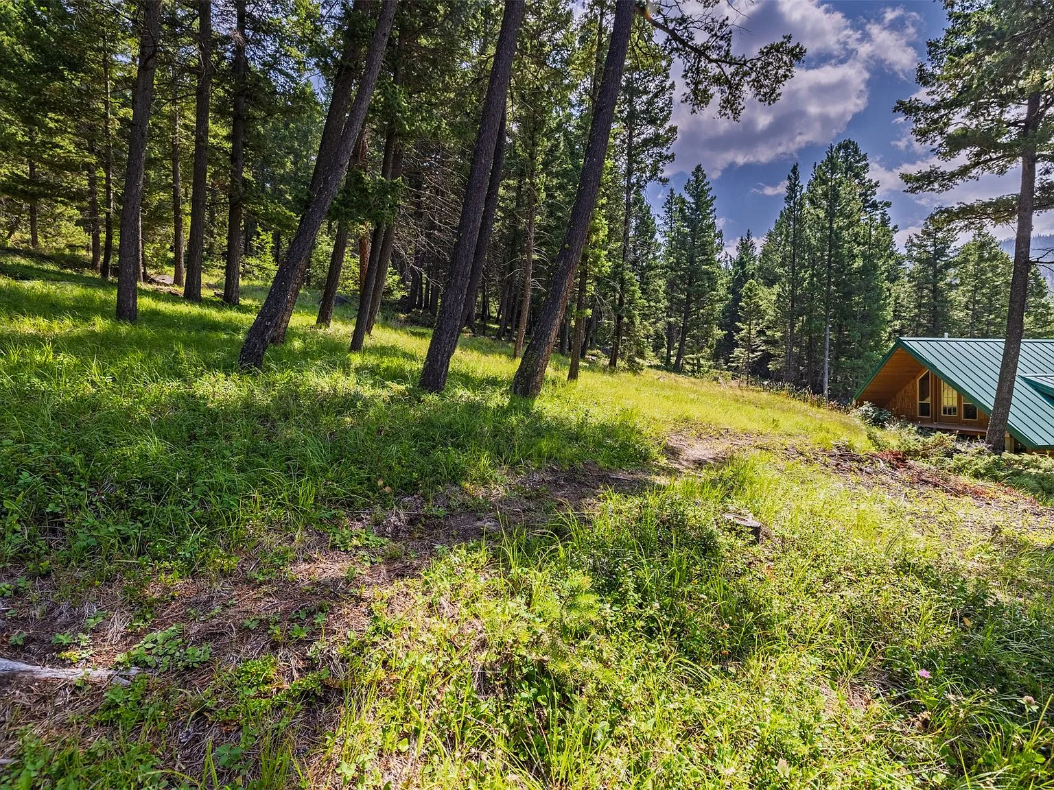 A wooded trail on the property framed by tall pines