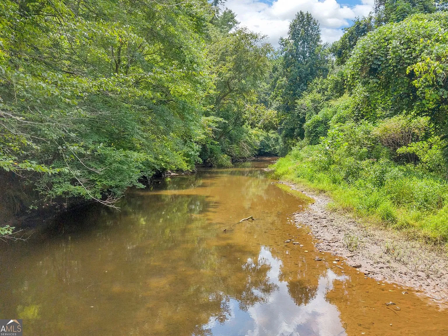 The creek bend seen from a footbridge or trail crossing