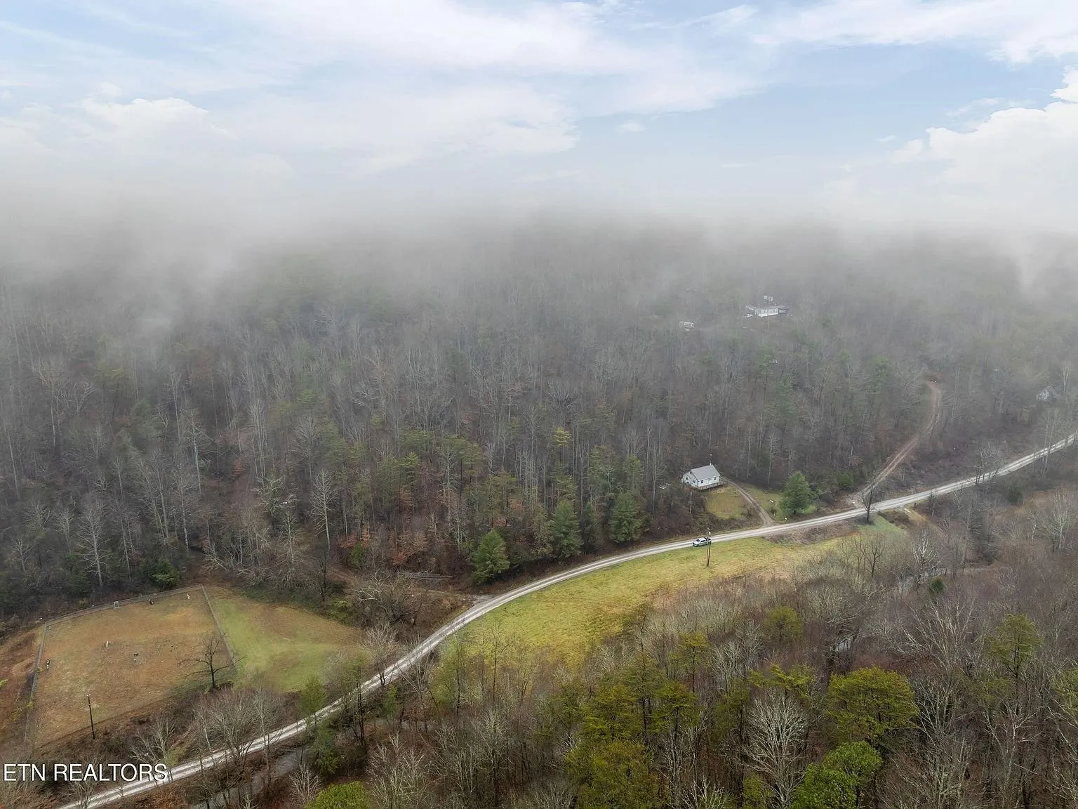 Aerial view of the forested slope with the driveway visible far below