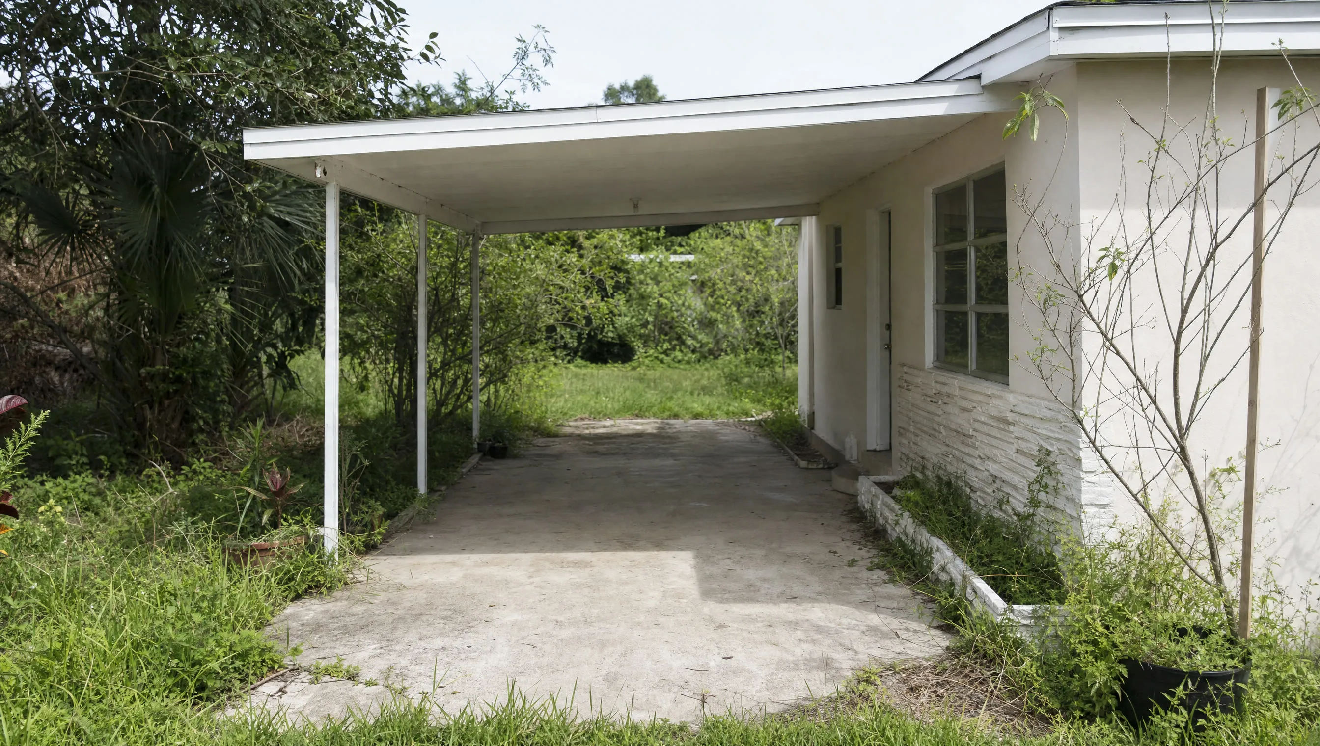 An empty carport with overgrown edges